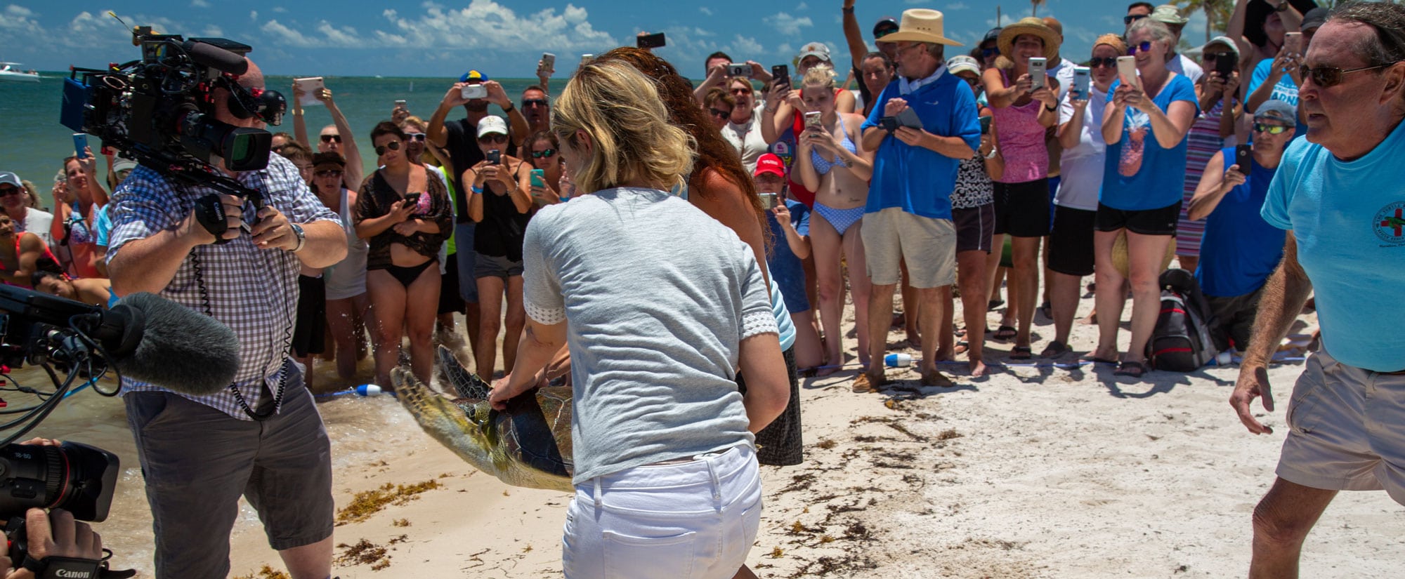 Turtle Hospital - Key West - Samantha Brown